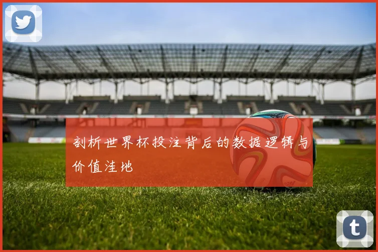剖析世界杯投注背后的数据逻辑与价值洼地