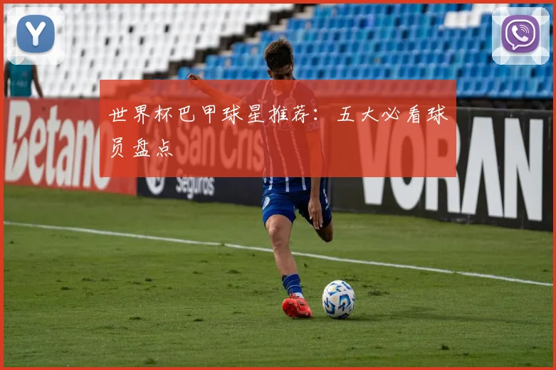世界杯巴甲球星推荐:五大必看球员盘点