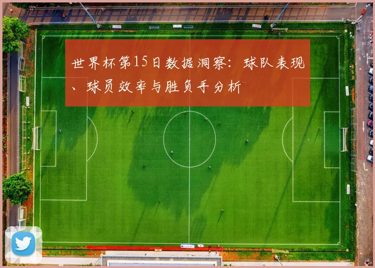 世界杯第15日数据洞察：球队表现、球员效率与胜负手分析