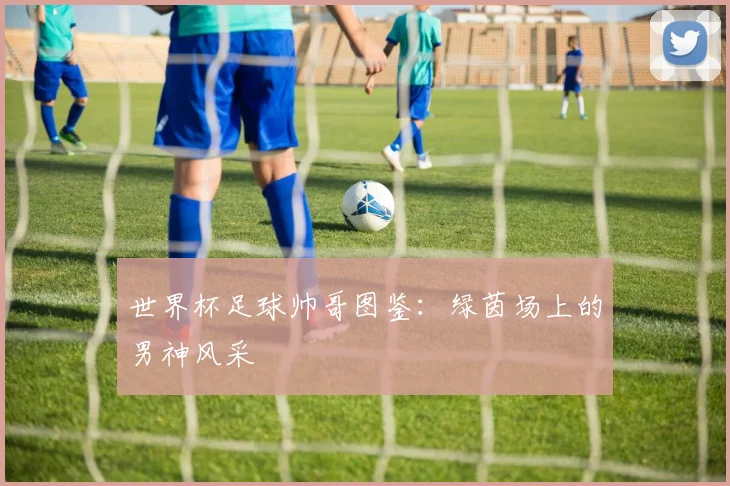 世界杯足球帅哥图鉴:绿茵场上的男神风采